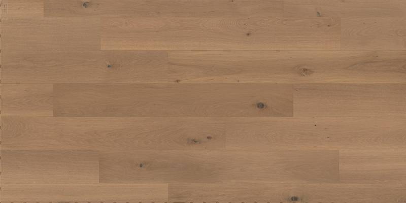 PARQ21003ocrebrunjpg_606345c175a2c (1)
