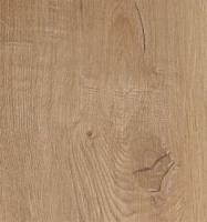 0801054465CheneANTIQUE574jpg_6537e4568c898