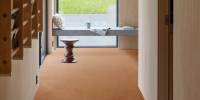 Indus 82