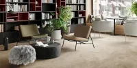vibes 34