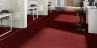 Impulse 11