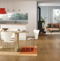 parqd-26002 chene blanc brumeux ambiance