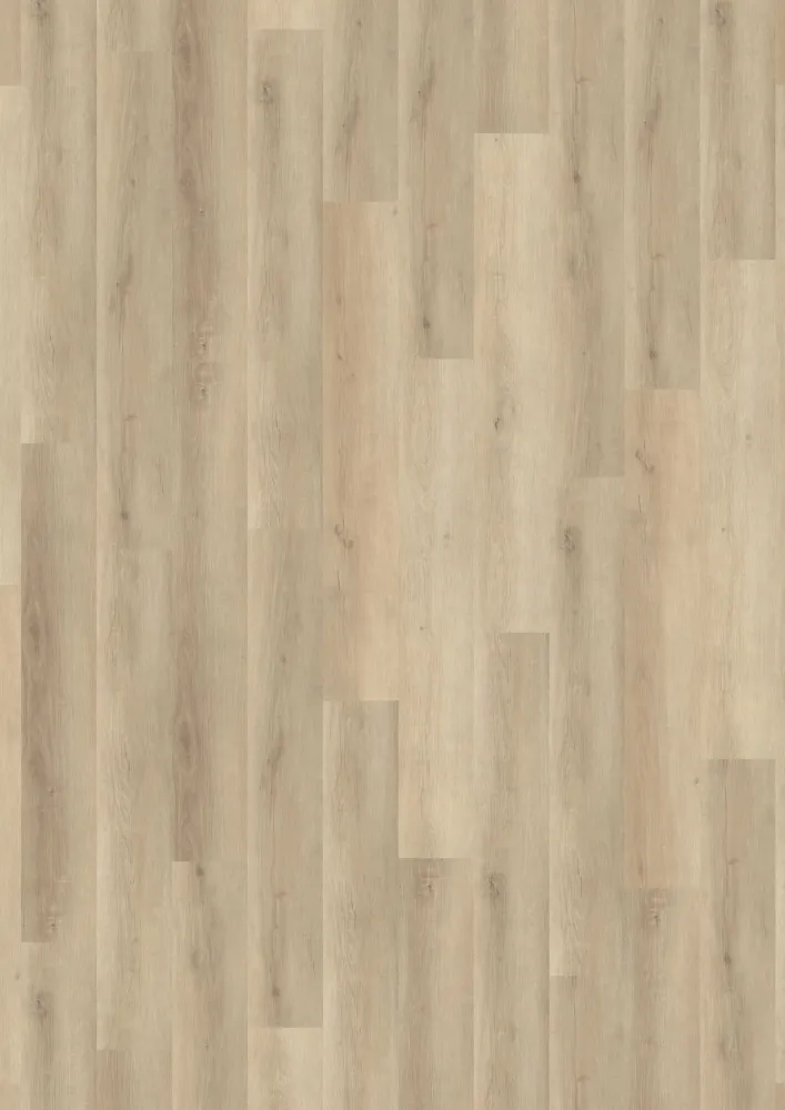 DORIA LVT-25007 Chene perle