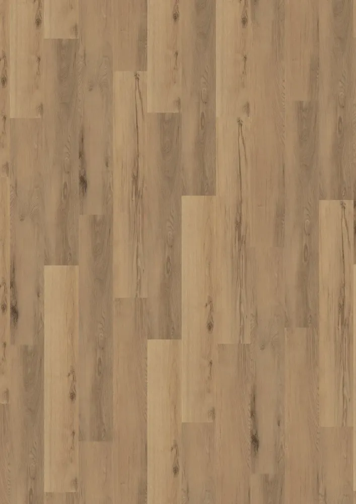 OKA LVT-25011 Chene brooky Conceptline_3774_3624 2