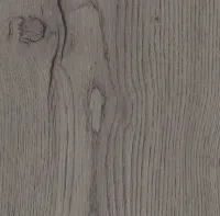 0801054453 chene century gris