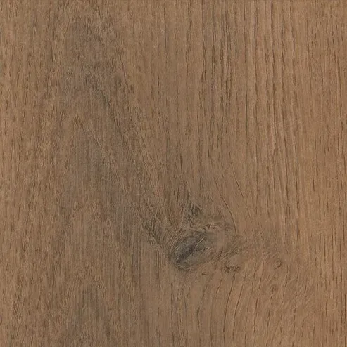 0801054452 chene d ete