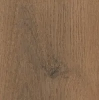 0801054452 chene d ete