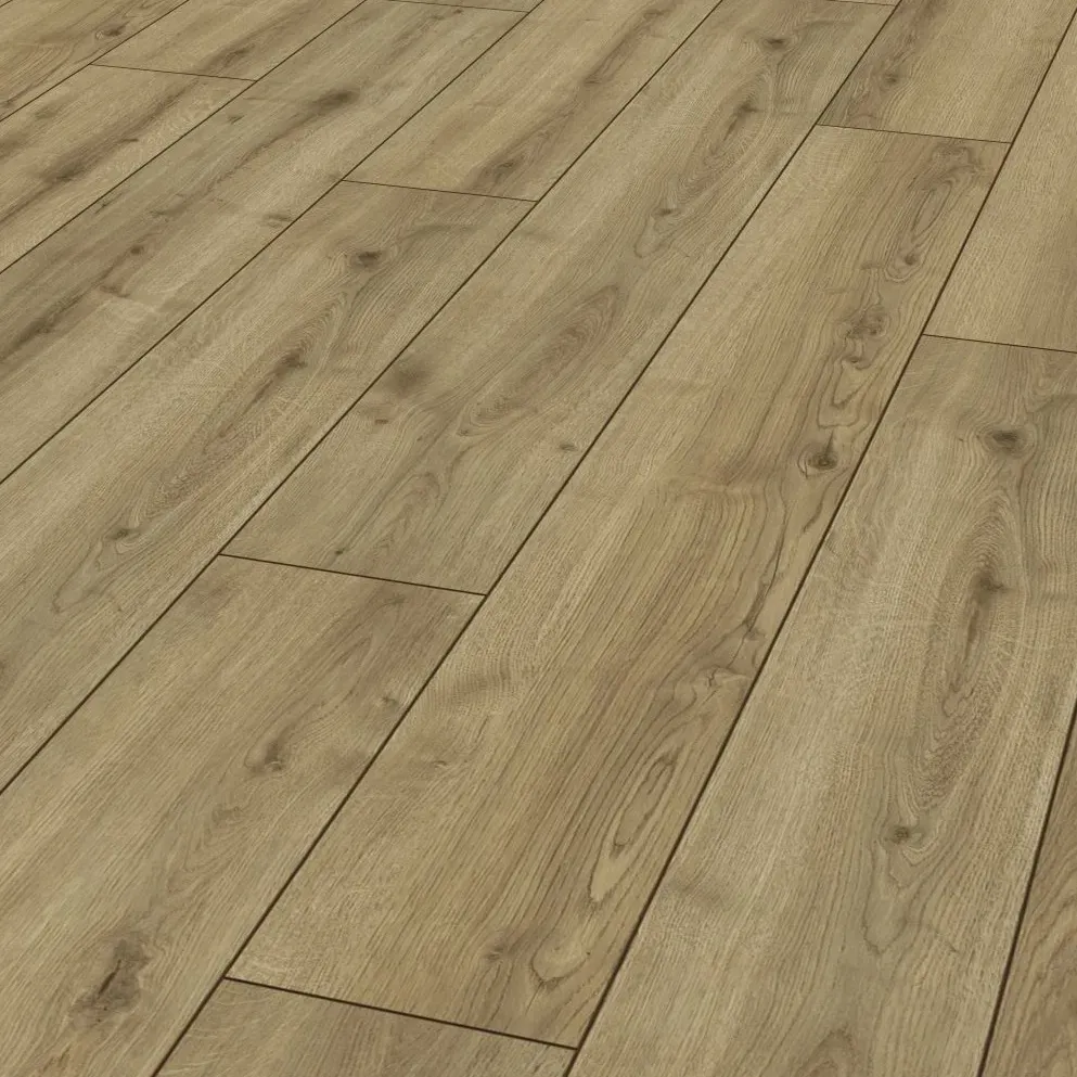 0801054445 chene jalon