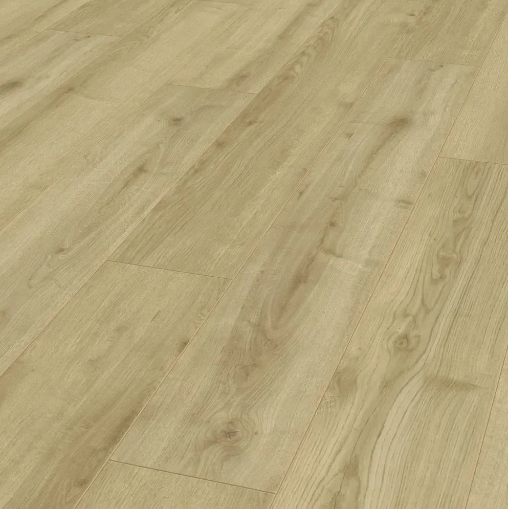 0801054446 chene adja