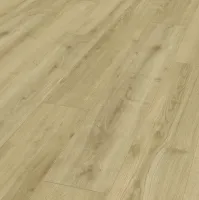 0801054446 chene adja