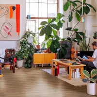 CHENE OPAL CAFE KIWI